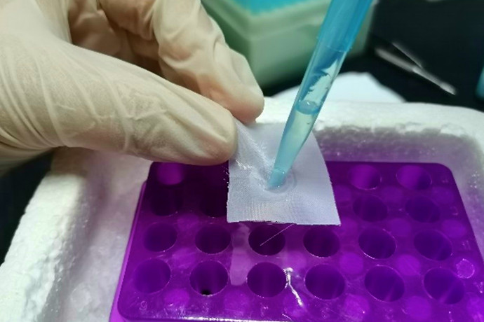 Manipulation of Cell Suspensions from Zebrafish Intestinal Mucosa Contributes to Understanding Enteritis