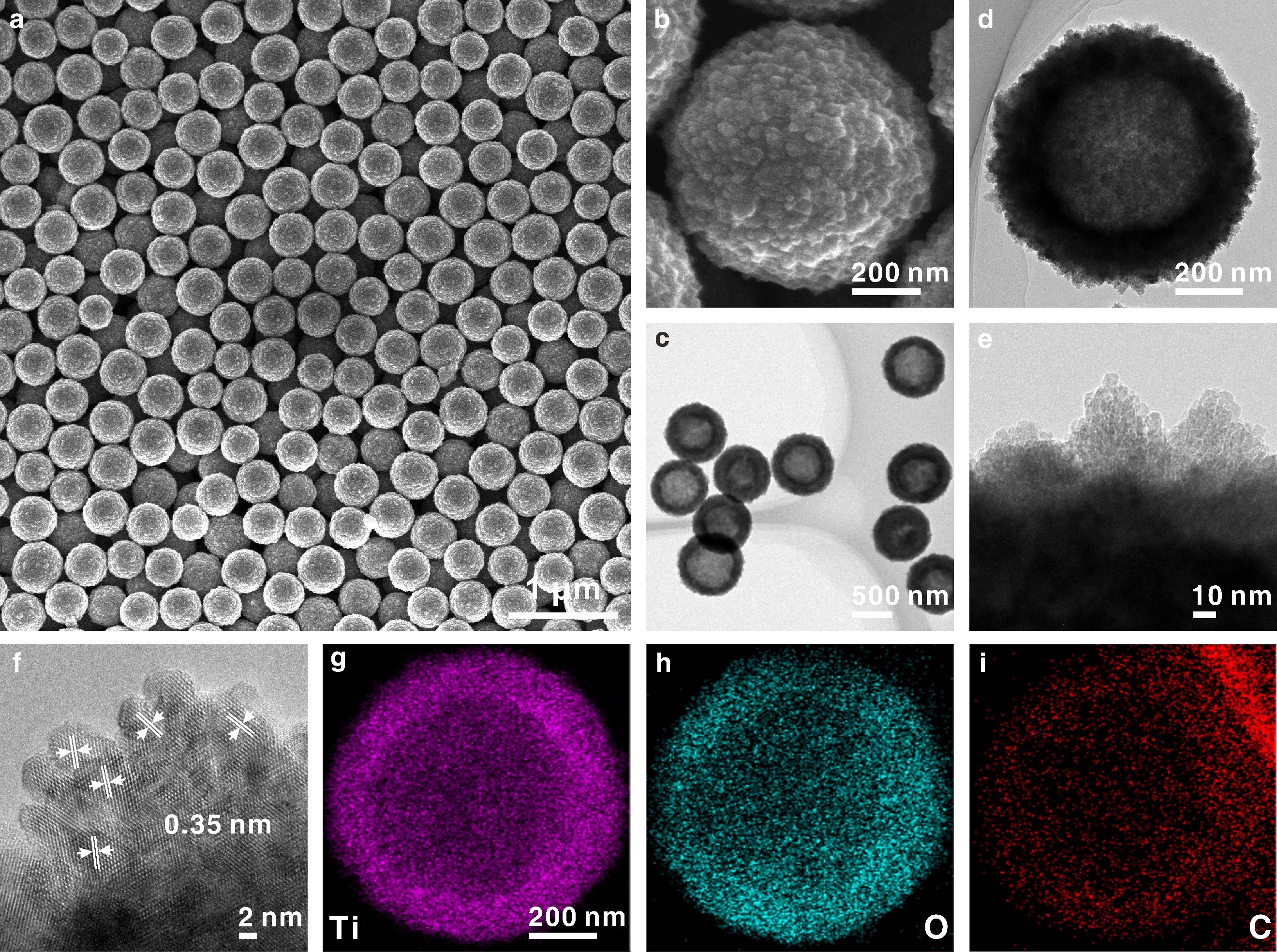 Carbon Co-doped TiO<sub>2</sub> Hollow Spheres Hold Promise for High-performance Metal Ion Batteries