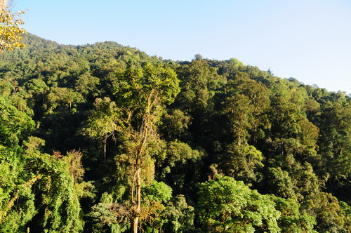 Human Presence Influences Overall Mammal Abundance in Northern Myanmar