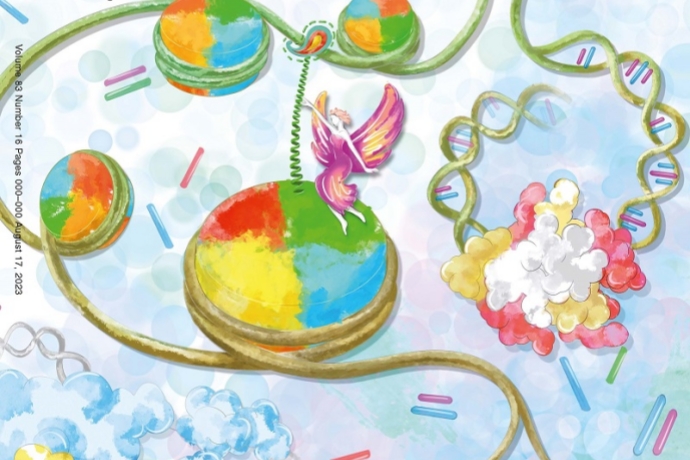 Scientists Reveal Mechanism Behind Preferential Recognition of H2A.Z Nucleosome During DNA Replication Initiation