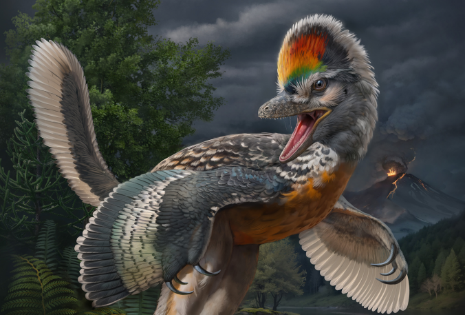 Chinese Paleontologists Find New Fossil Link in Bird Evolution