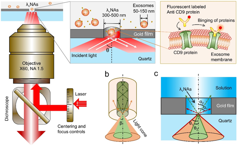 Researchers Develop Optical Nanocavity beyond Zero-mode Waveguide