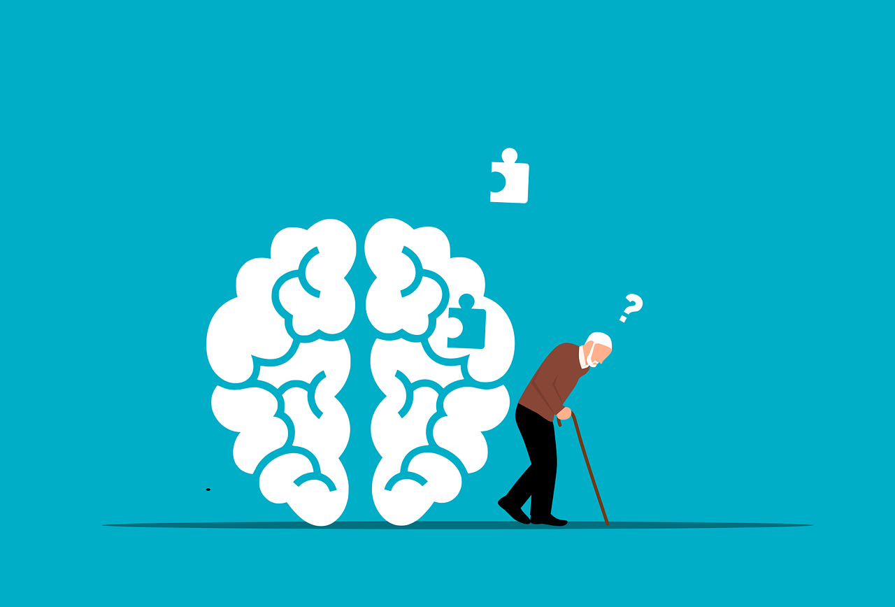 Molecular Insights into Blood-Brain Barrier: Advancing Understanding for Neurological Research