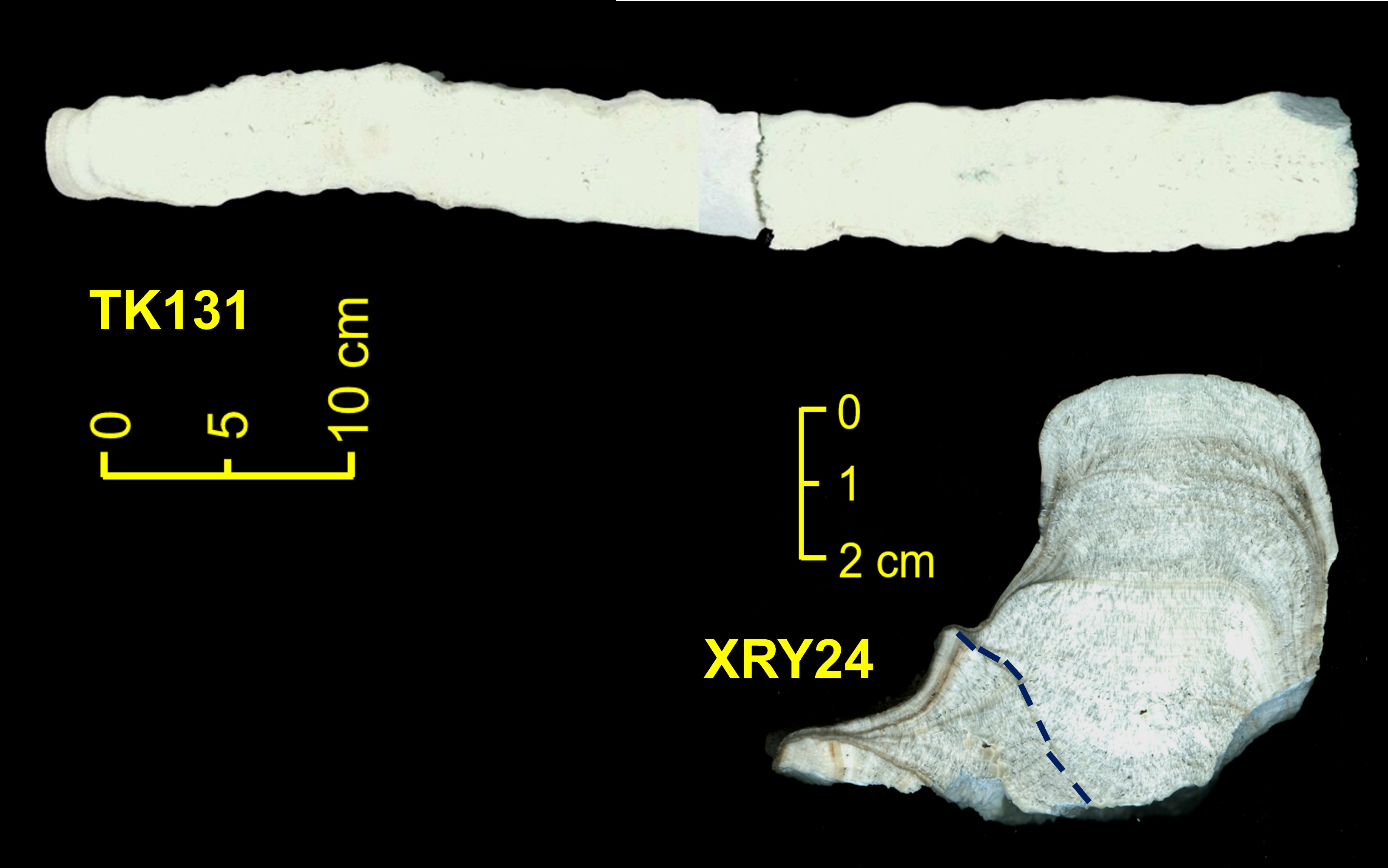Researchers Reveal Anthropogenically-induced Atmospheric Lead Cycle in Low-latitude Asia