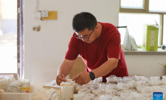 Uygur Ecologist Grapples with Sand in 