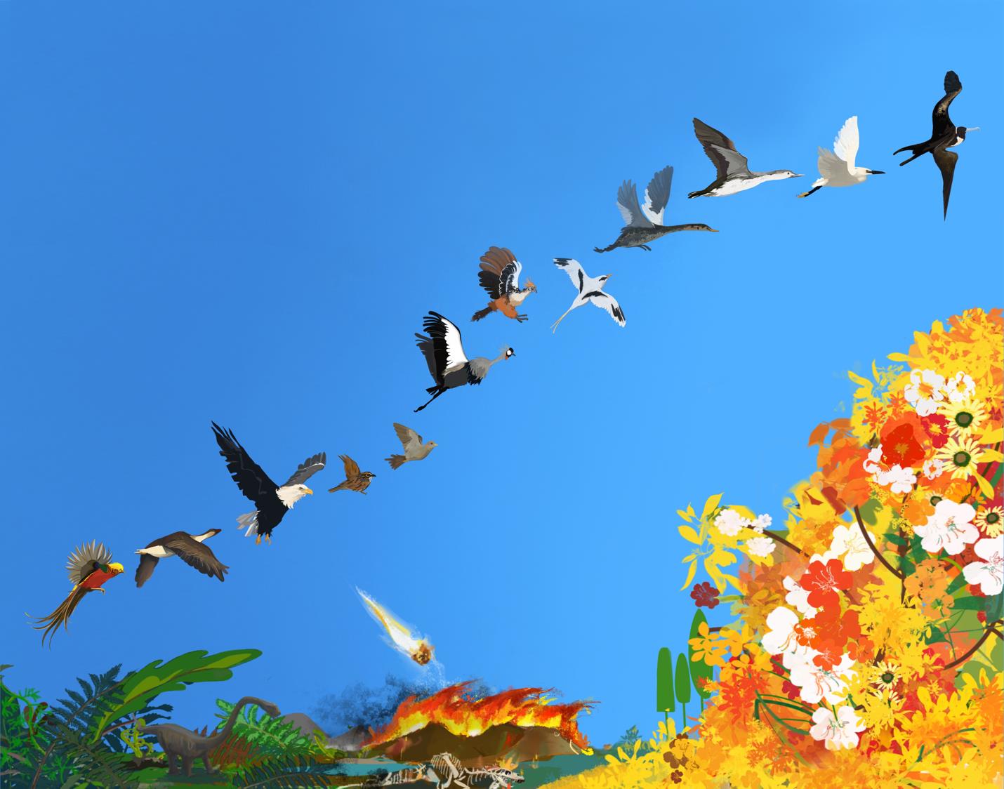 New Study Suggests Birds Began Their Evolution Long Before Demise of Dinosaurs