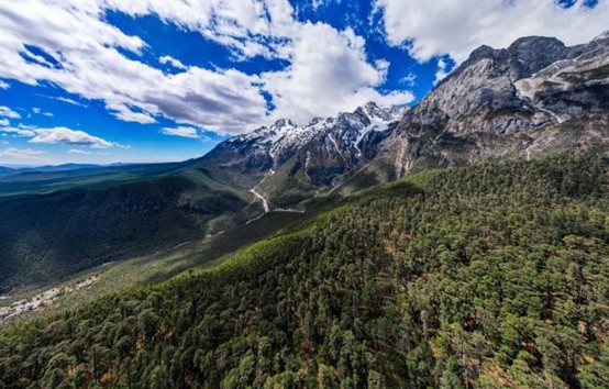 Efforts in Seeds Preservation Paid off on SW China's Yulong Snow Mountain
