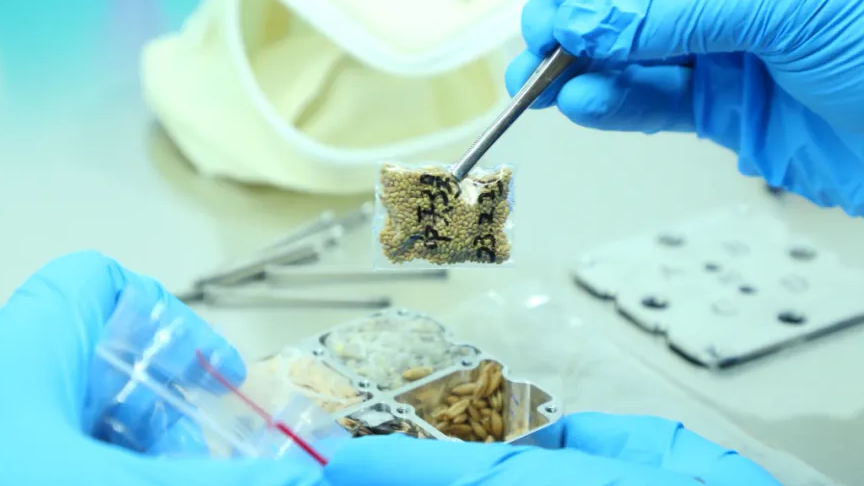 Samples from China's Shenzhou-17 Mission Delivered to Scientists