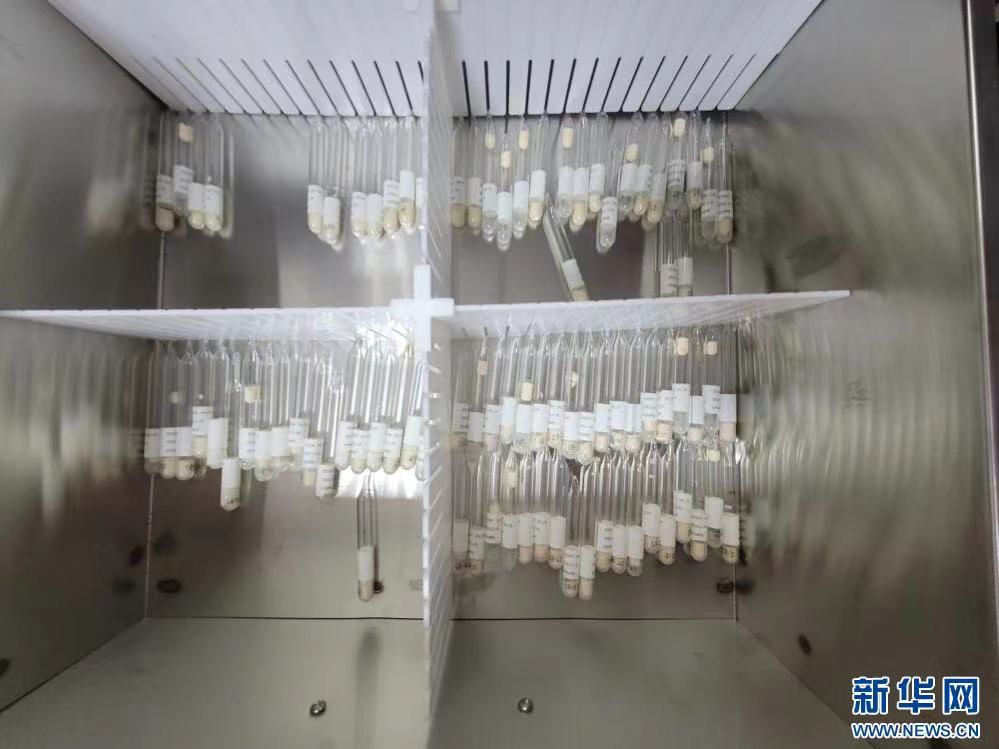 Scientists Study Microbial Resources for Industrial Applications