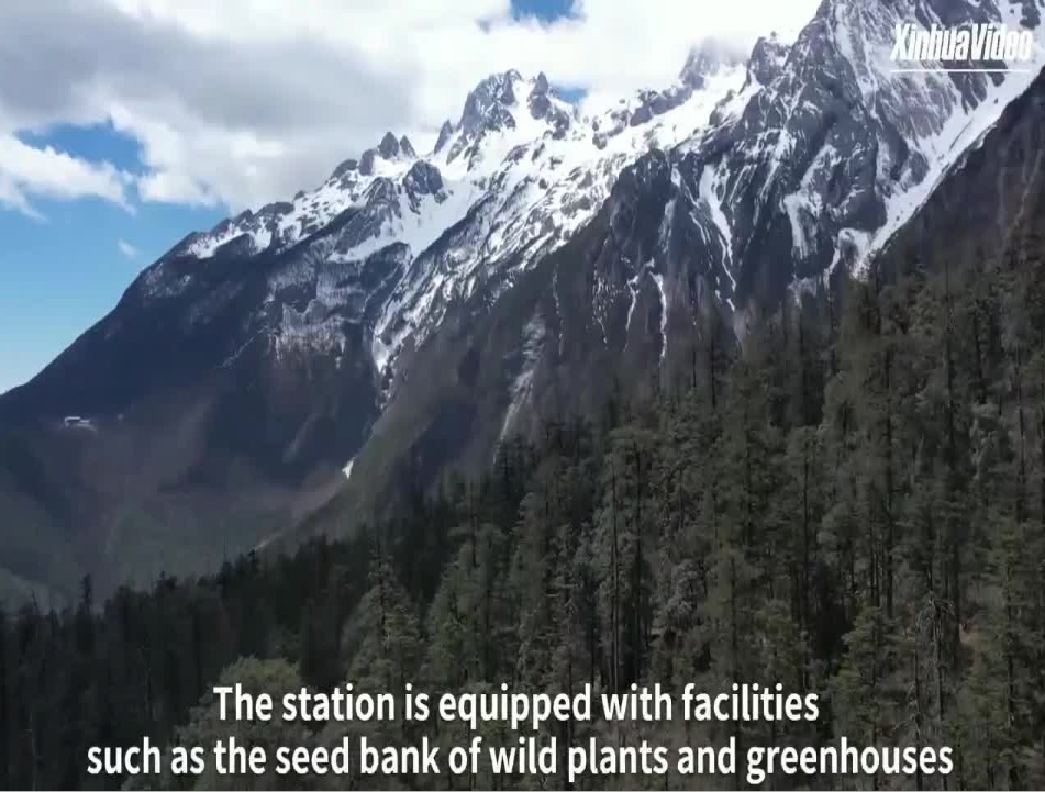 Scientists Seek to Safeguard Biodiversity in SW China