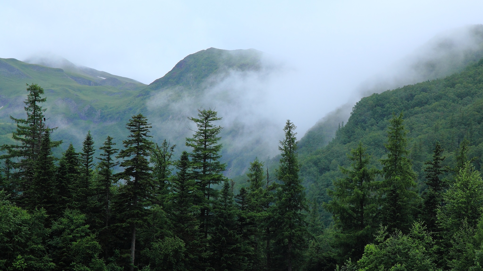 Experts Exchange Views on Global Geopark, Biosphere Reserve Sustainable Development