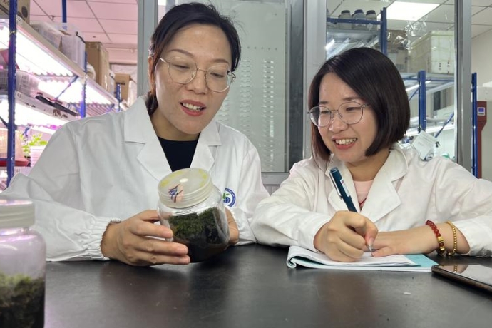 Turning Red Planet into Green? Chinese Study Reveals Potential of Moss