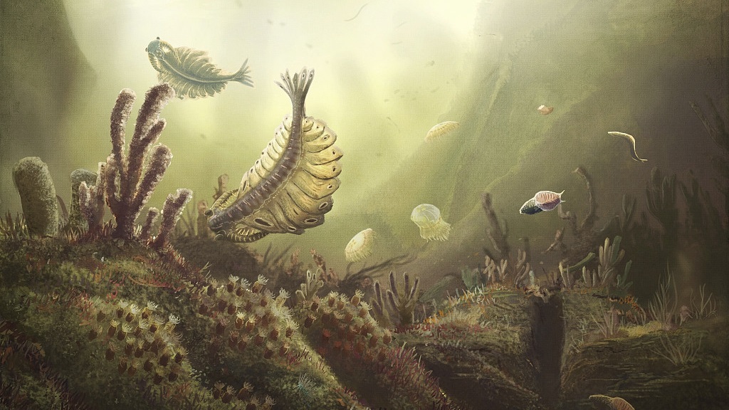 Chinese Researchers Unveil Key Factors of Cambrian Explosion of Life
