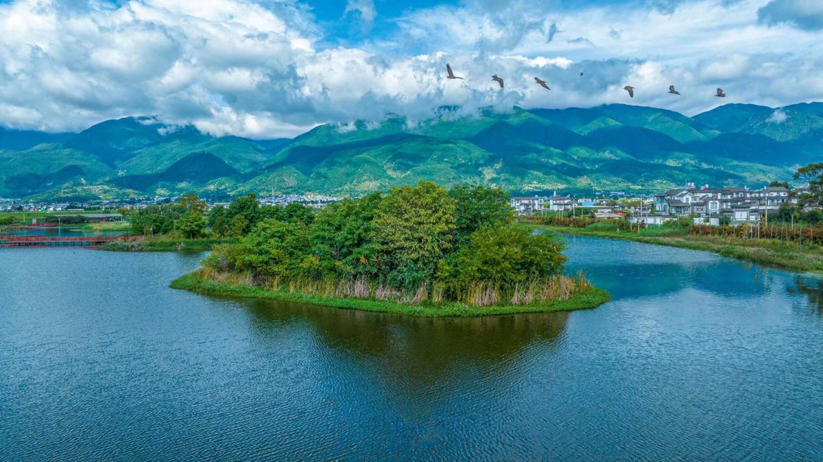 Allium Gardens Showcase Biodiversity Conservation Potential of BRI