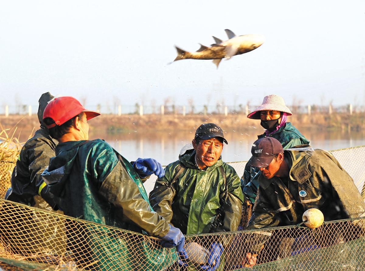 Conservation Efforts Help Revitalize Yangtze