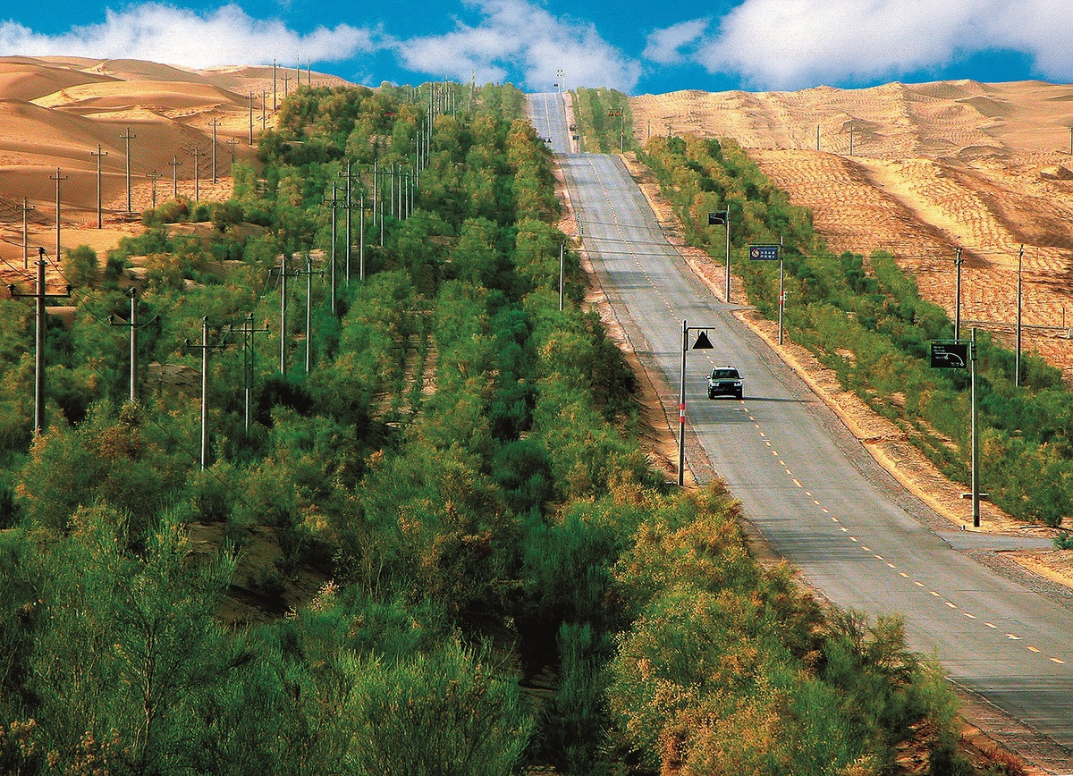 Mosaic of Magic: Grass Grids have Proven an Effective Way to Combat Desertification