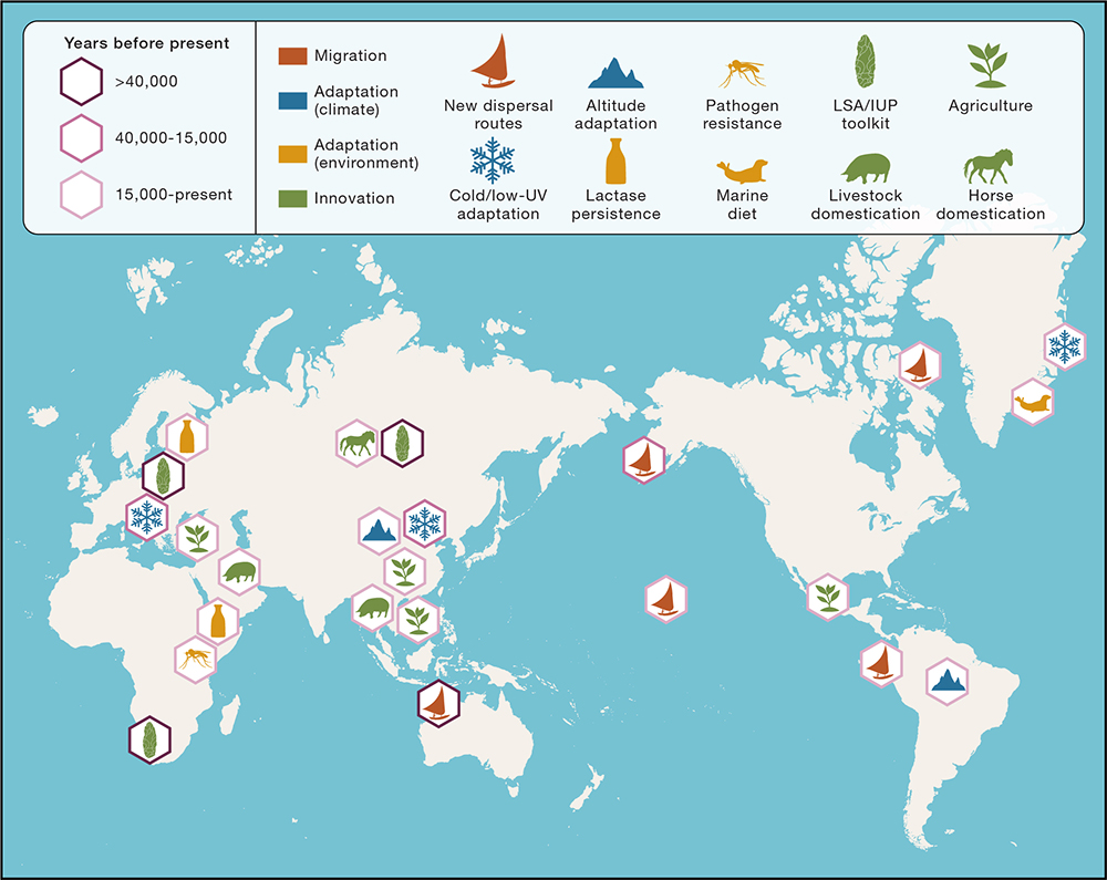 Becoming Human: An Ancient Genome Perspective