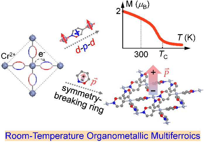 Scientists Propose Theoretical Design Strategy for Room-temperature Metal-organic Multiferroics