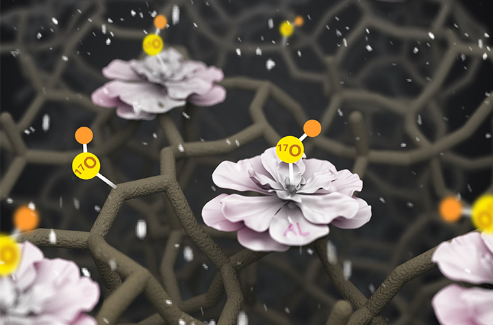 Advanced Nuclear Magnetic Resonance Technique Developed to Reveal Precise Structural and Dynamical Details in Zeolites