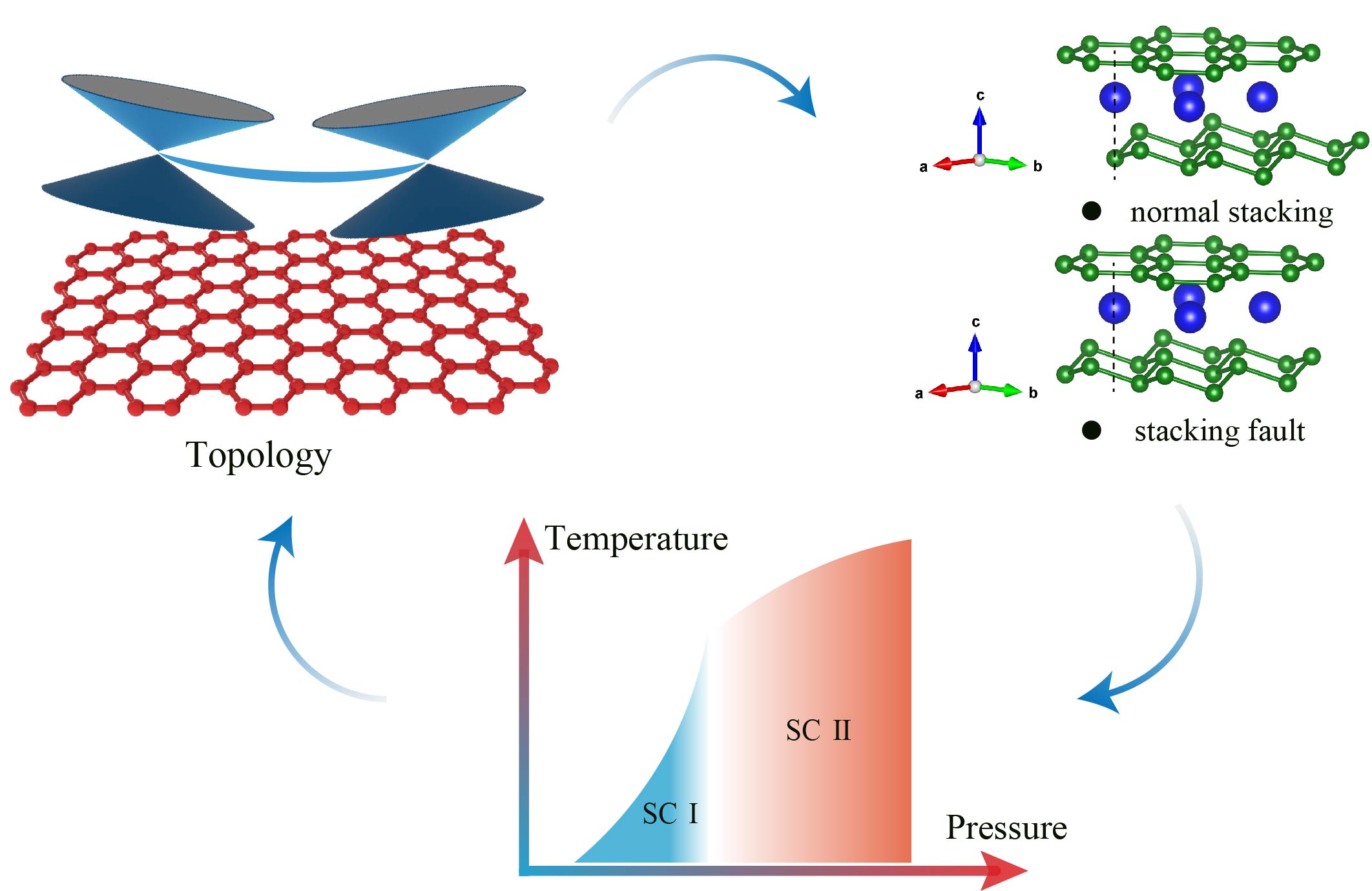 New Study Reveals Phonon Properties of β-MoB<SUB>2</SUB> Single Crystal