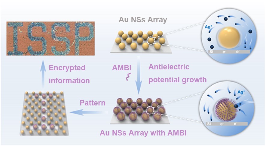 Researchers Achieve Controlled Synthesis of Au-Ag Heterodimer Arrays for High-resolution Encrypted Information