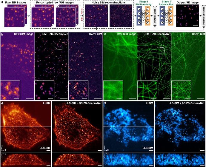 Scientists Propose Zero-shot Universal Microscopic Image AI Processing Method