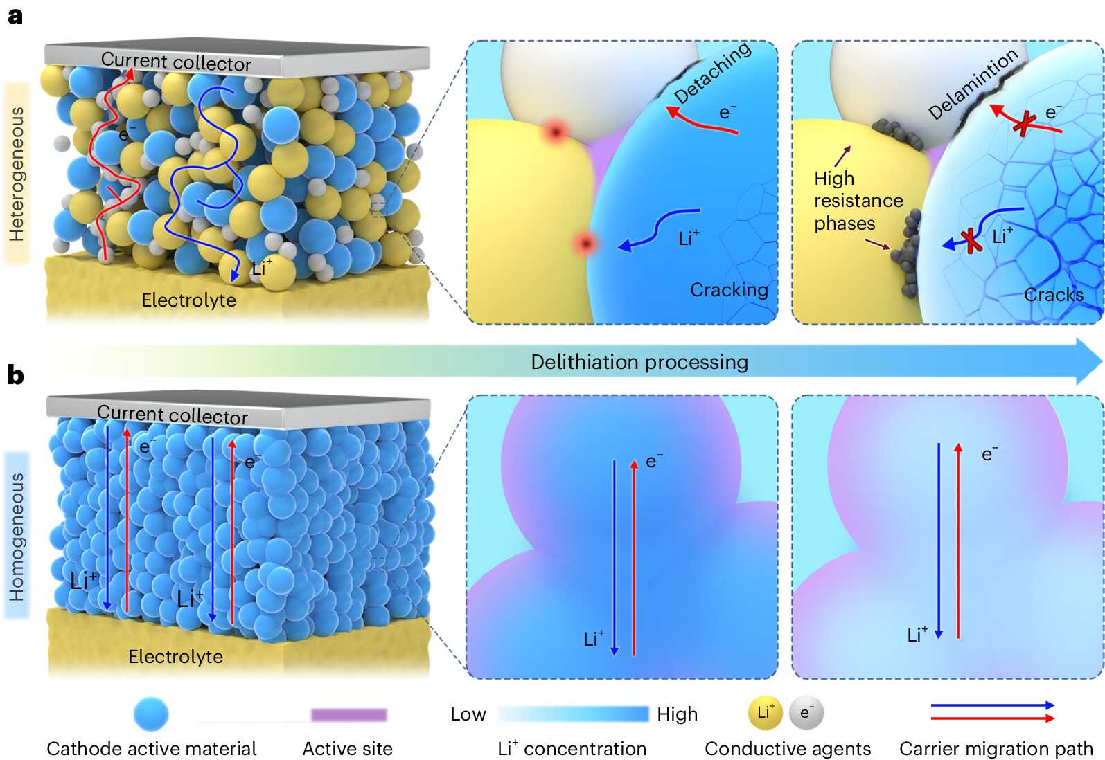 Researchers Pioneer New Approach to Enhance All-Solid-State Lithium Batteries