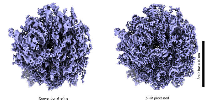 New Algorithm SIRM Makes Reducing Preferred Orientation Problem in Cryo-EM 3D Reconstruction Possible