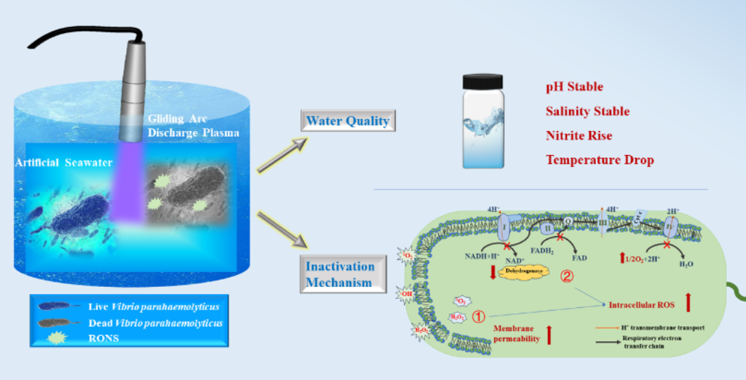 Scientists Propose Gliding Arc Discharge Plasma Seawater Sterilization Technology for Mariculture