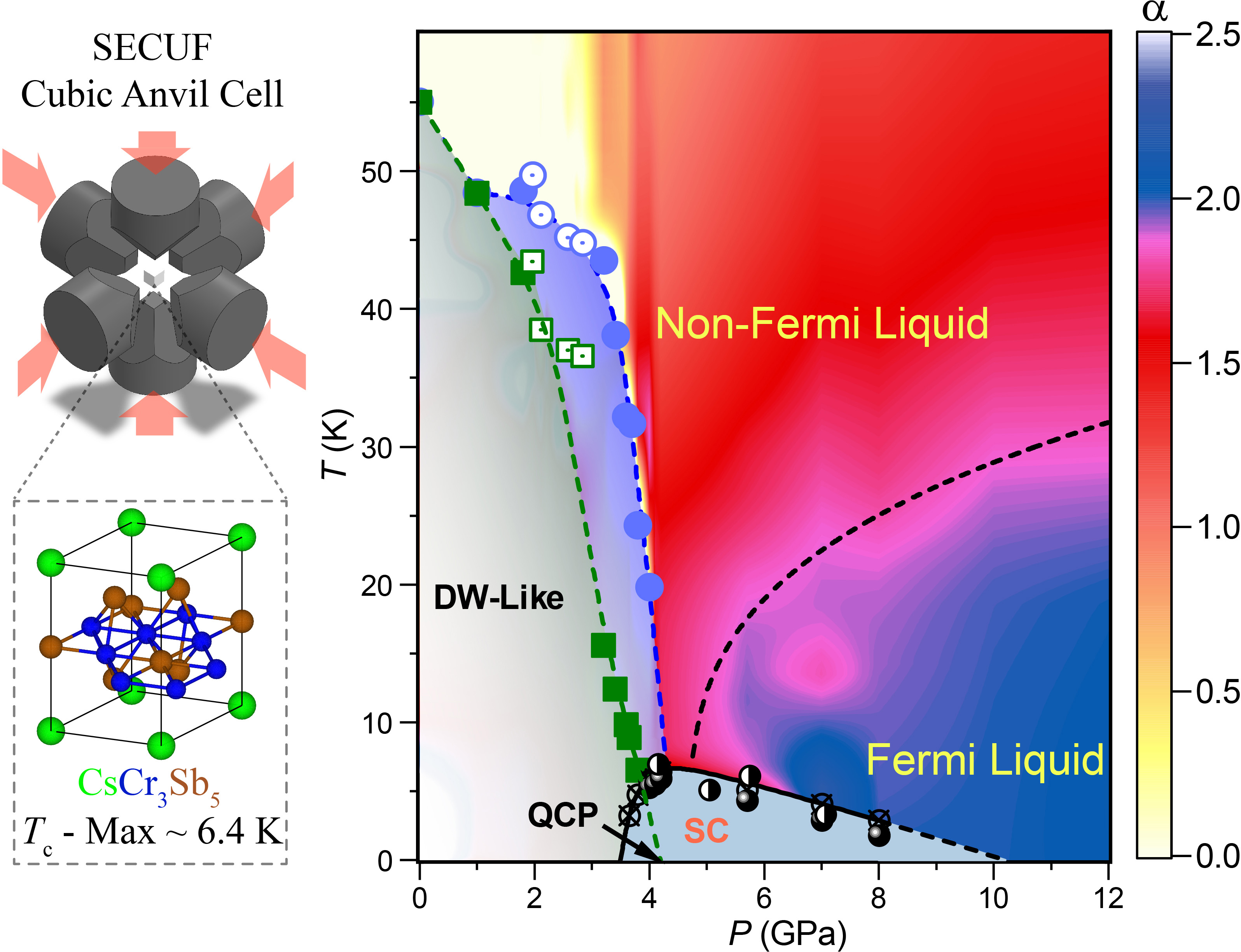Discovery of a New Chromium-Based Kagome Superconductor -- Key Roles of SECUF