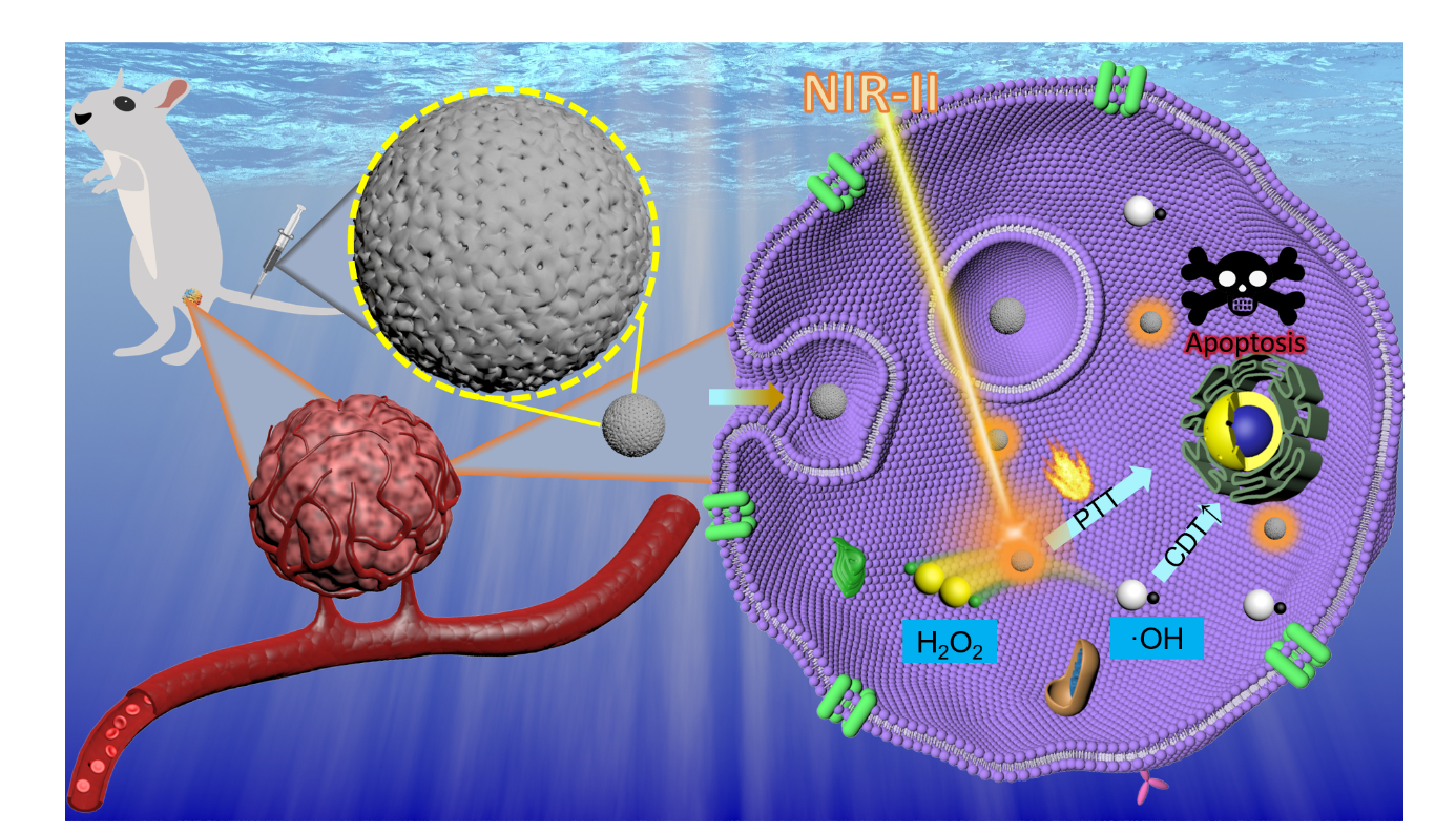 Iron-Doped Carbon Based Nanoparticles Boost Cancer Treatment with Enhanced Precision and Safety