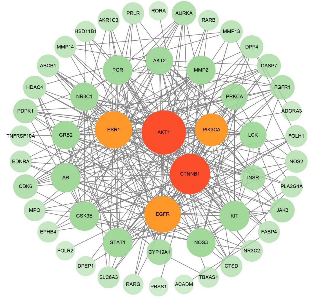 New Study Identifies Ganoderic Acid DM as Potential Treatment for Breast Cancer