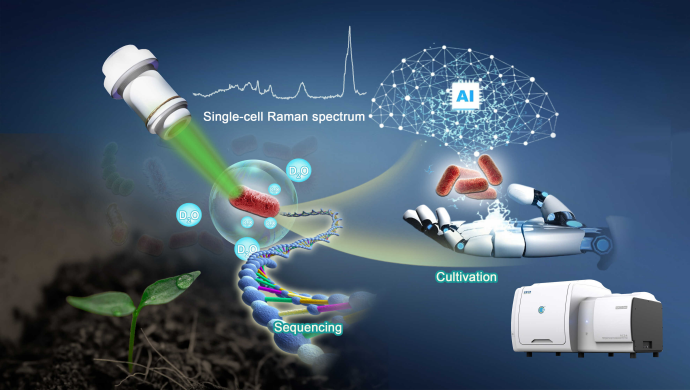AI-RACS: Innovative Tool for Mining Aluminum-Tolerant Strains in Acidic Soils&nbsp;