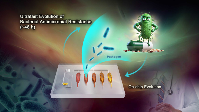 Researchers Discover 