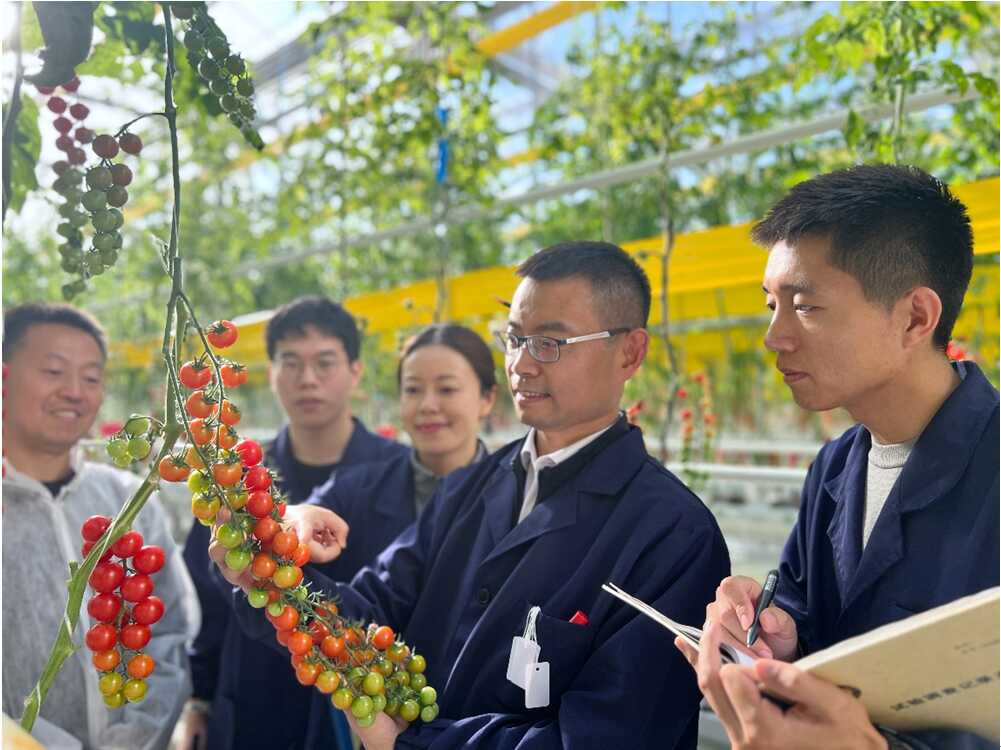 Scientists Innovate Breeding Strategies to Create Climate-smart Crops