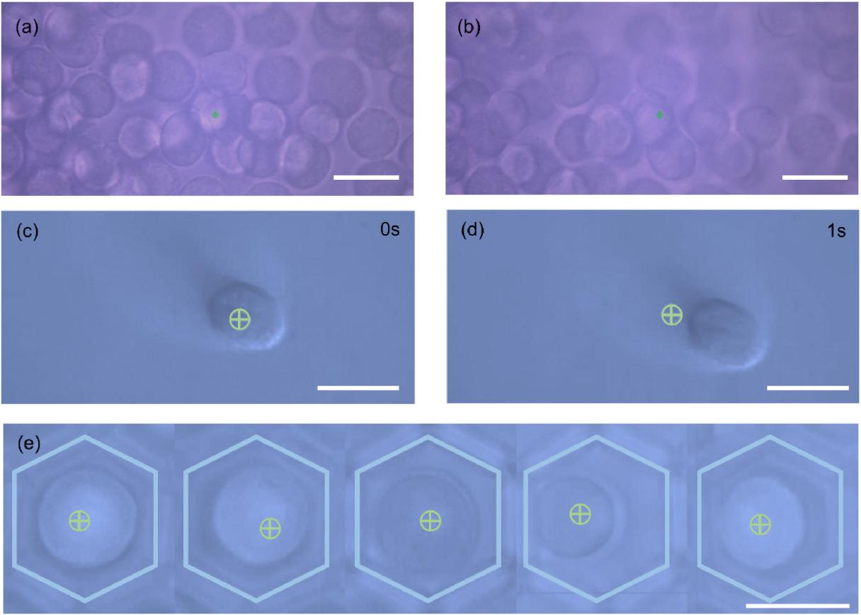 Aluminum Microwell Substrates Enhance Single-cell Cancer Detection with Raman Spectroscopy