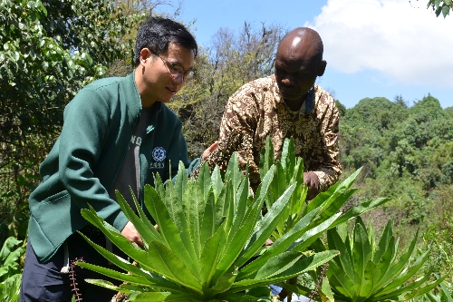 Chinese Botanists Protect Plants in Africa
