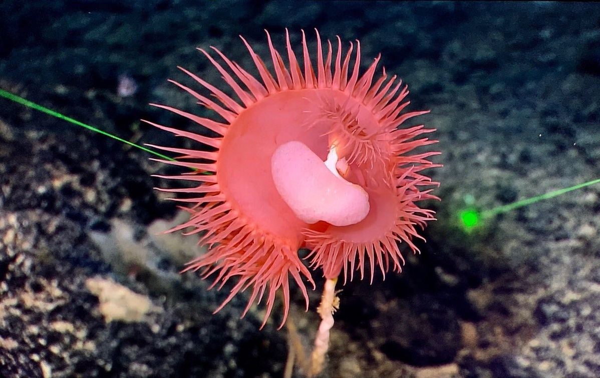 Research Vessel Back in Port after Pacific Expedition
