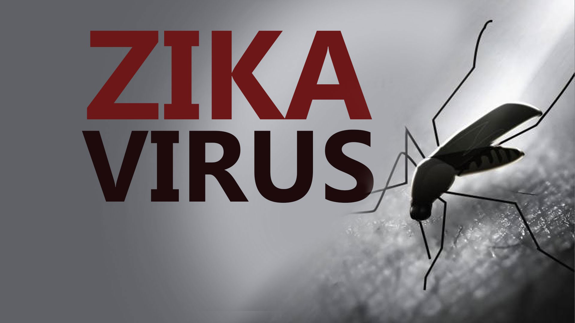 Zika Virus Causes Delayed Childhood Neurodevelopment: International Study