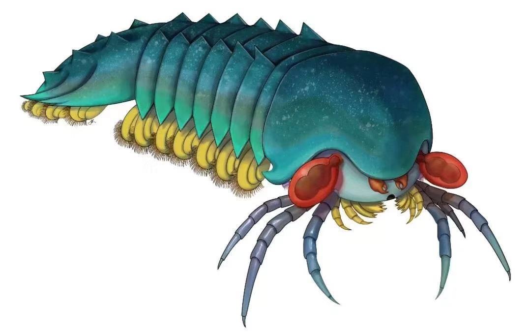 Scientists Discover Oldest Ancestor of Spider, Scorpion