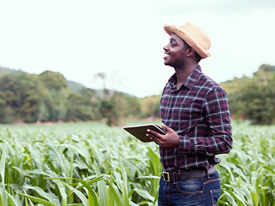 Satellite Technology Gives Developing Nations Food Security Boost