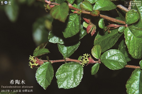 3,718 Species Newly Recorded in Yunnan over Past 30 Years