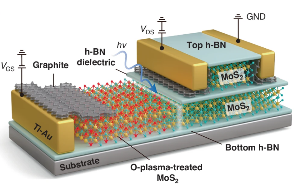 Scientists Develop Bioinspired Phototransistor for High-sensitivity Detection of Low-contrast Targets