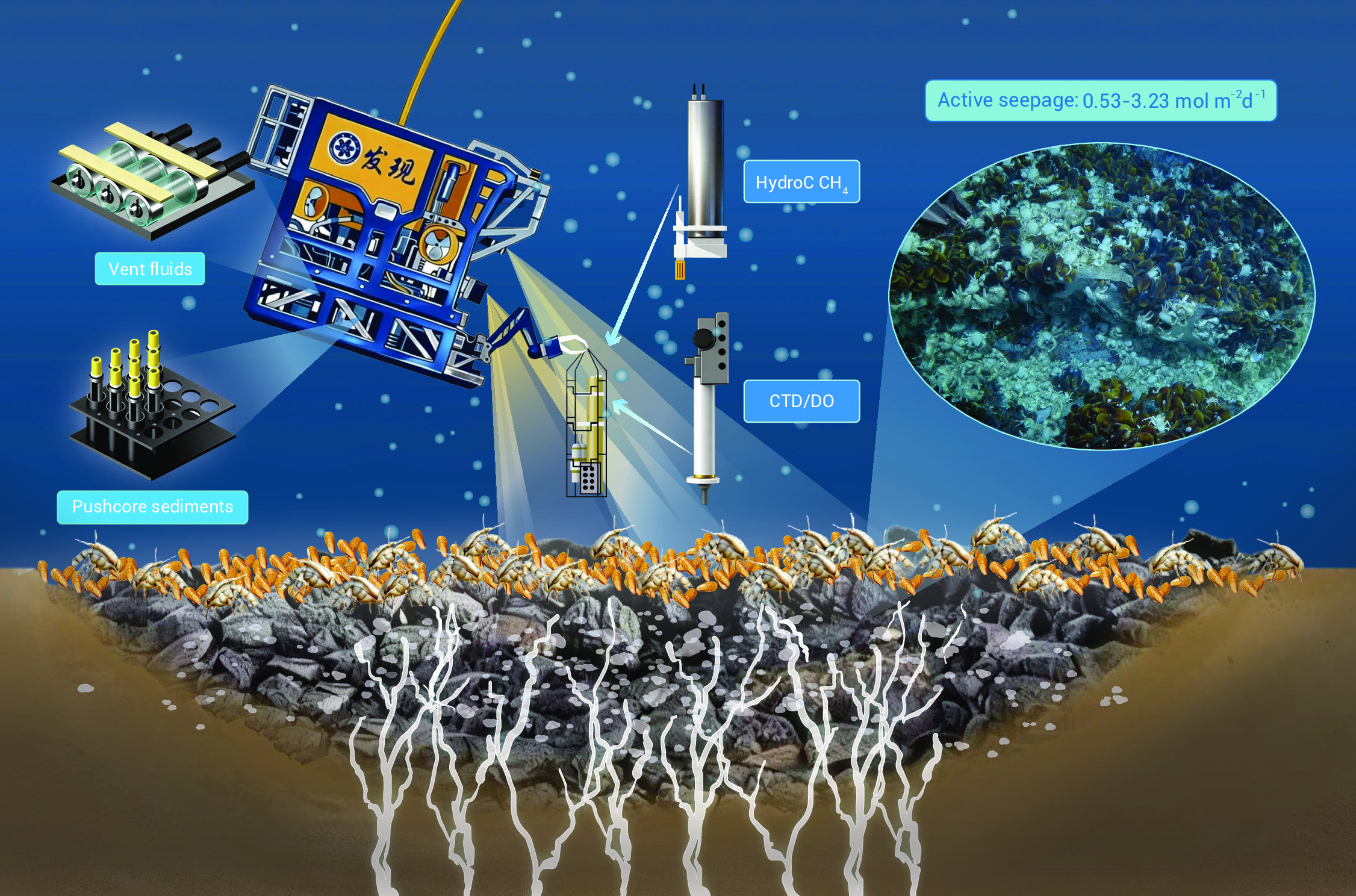Scientists Discover Underestimated Methane Emissions from Deep-Sea Cold Seeps