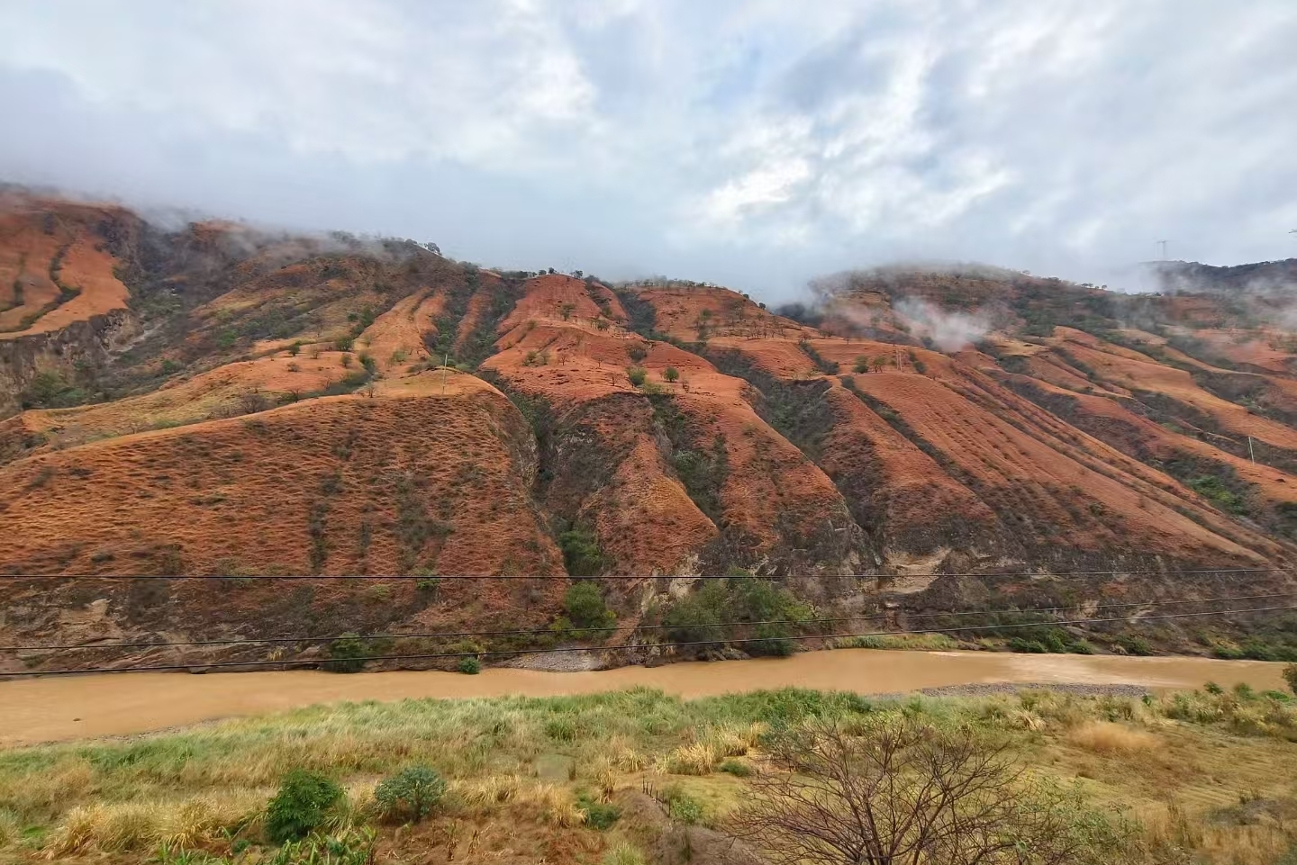 Extreme Droughts Cause Long-term Changes in Savanna Vegetation