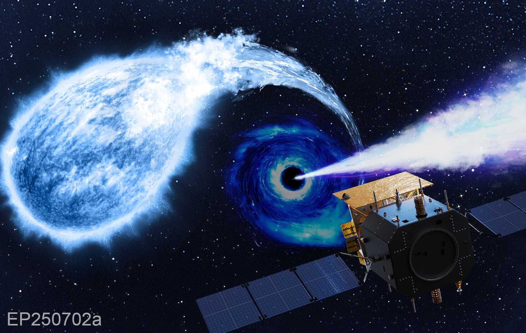 Einstein Probe Detects Likely Intermediate-Mass Black Hole Shredding a White Dwarf