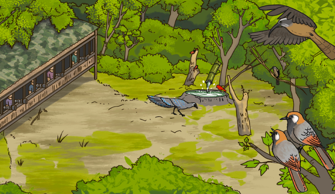 Bird-friendly Tourism: A Conversation between Biodiversity Conservation and Rural Development