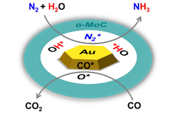Researchers Achieve Direct NH<sub>3</sub> Synthesis from N<sub>2</sub> and H<sub>2</sub>O Under Mild Conditions
