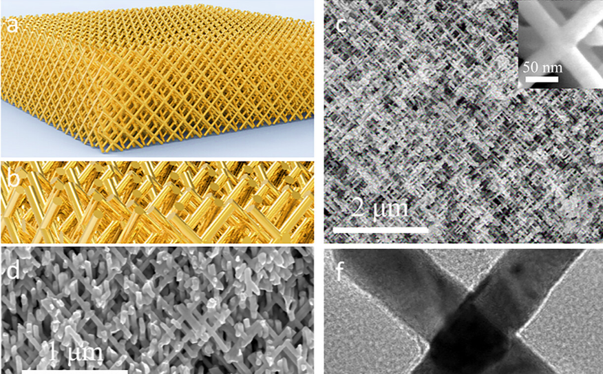 Researchers Propose Novel Strategy for 3D Surface-Enhanced Raman Scattering Substrate