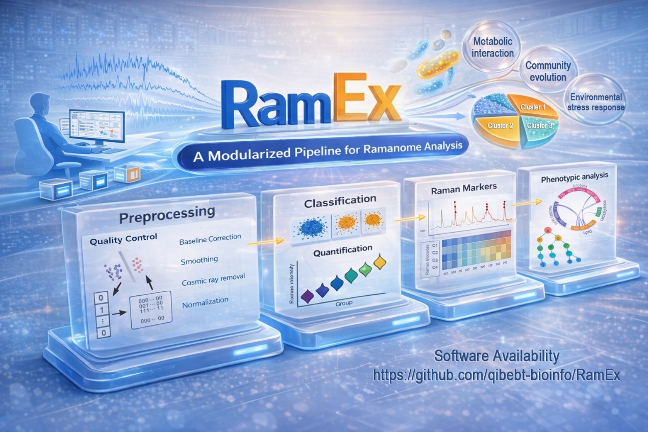 Scientists Develop RamEx to Unlock High-Throughput Analysis for Microbial Ramanomics